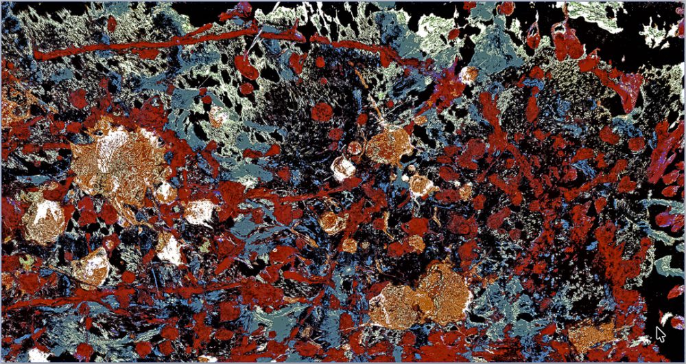 microcosm image