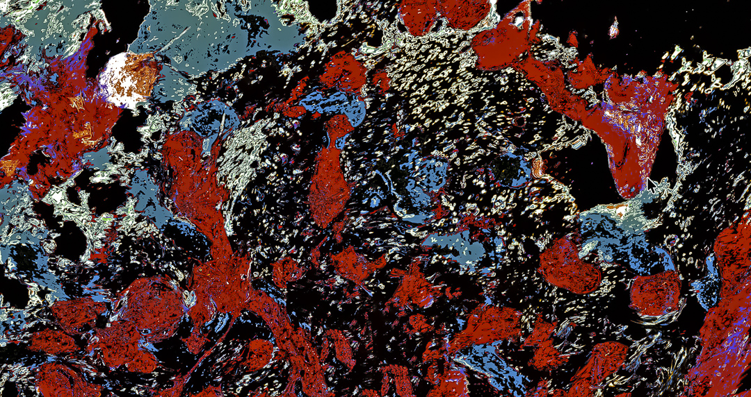 microcosm
