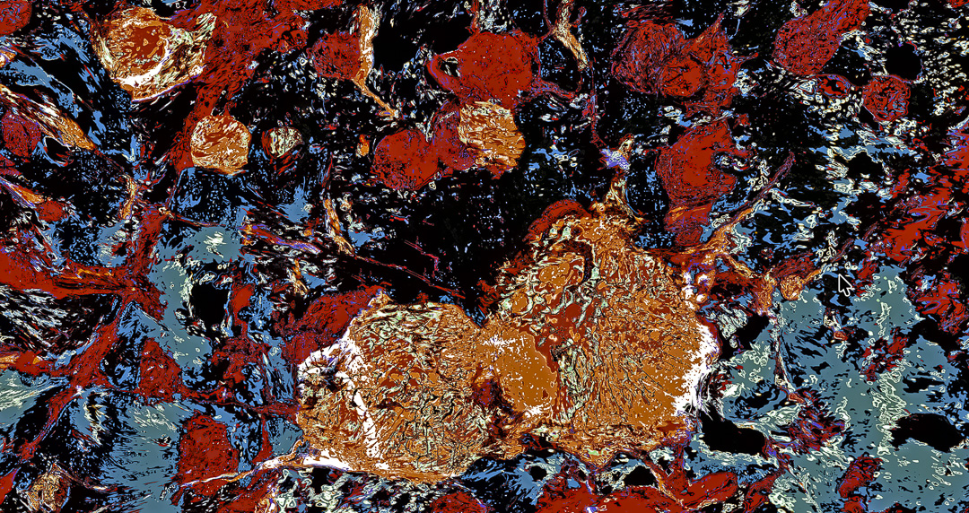 microcosm