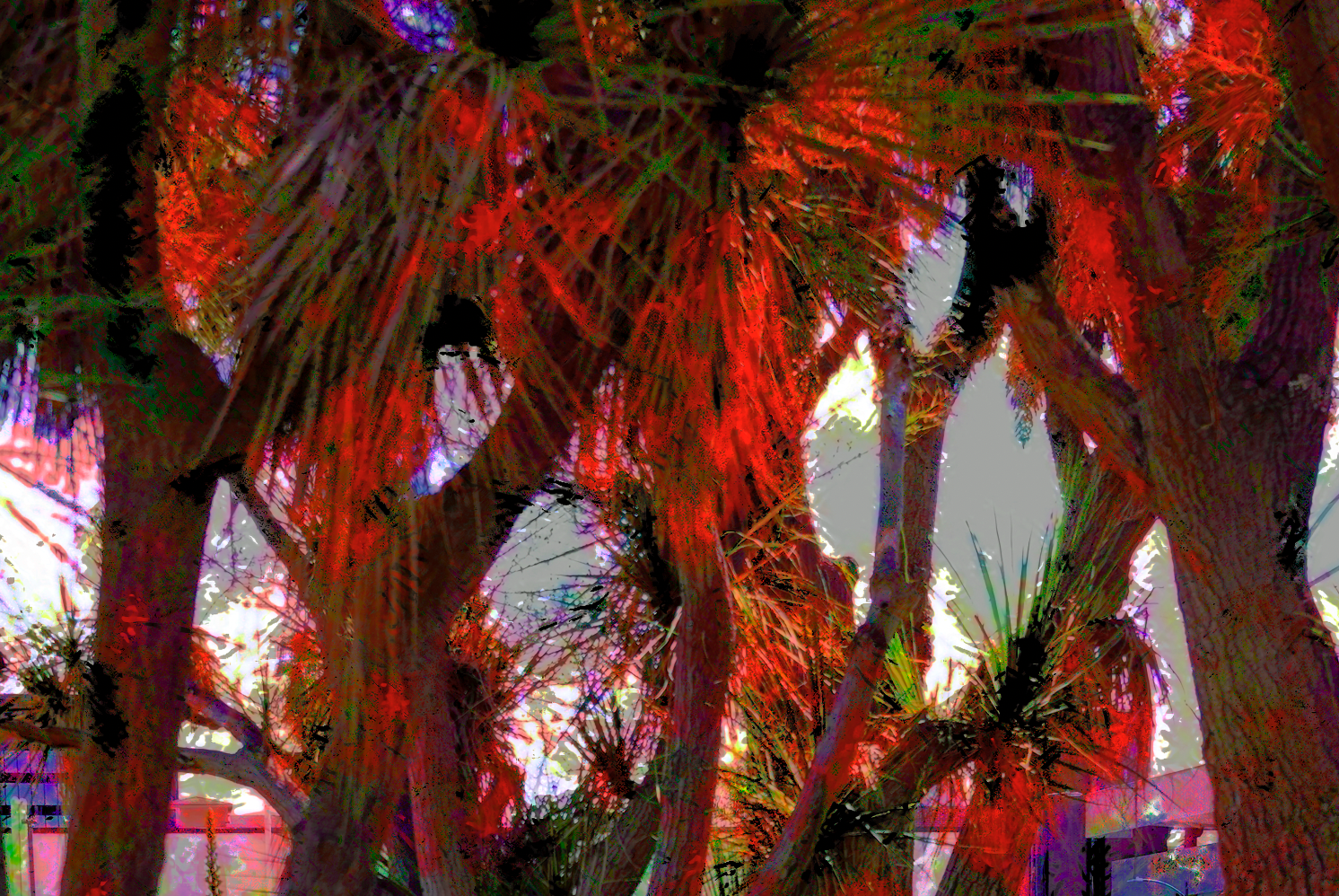 screen shot    at    pm screen shot    at    pm