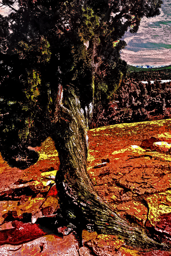 calm before the storm calm before the storm