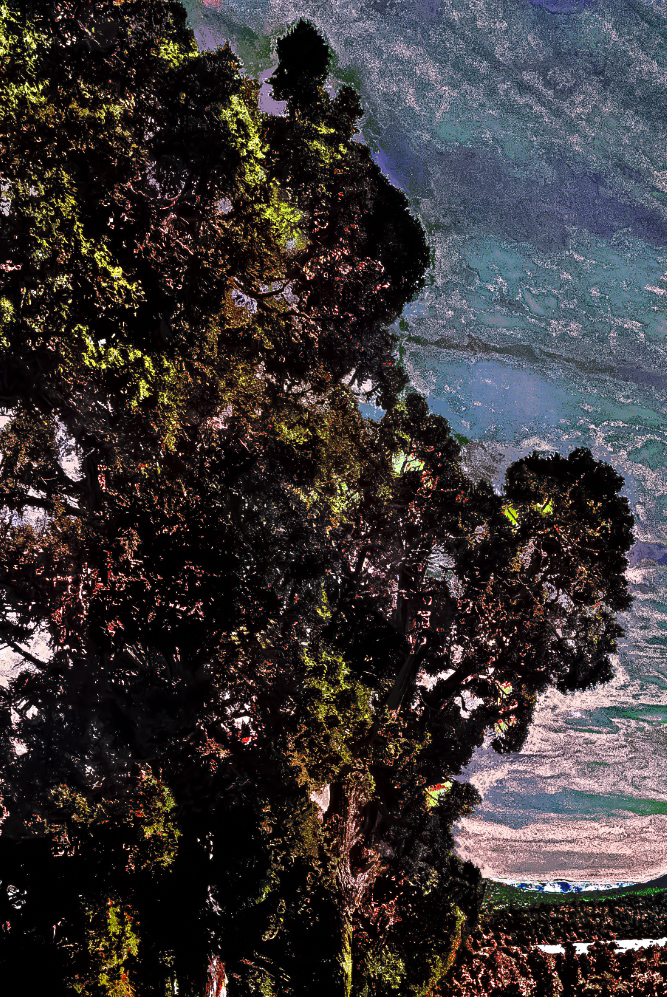 calm before the storm calm before the storm