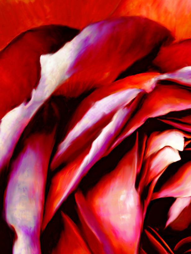 screen shot    at    pm