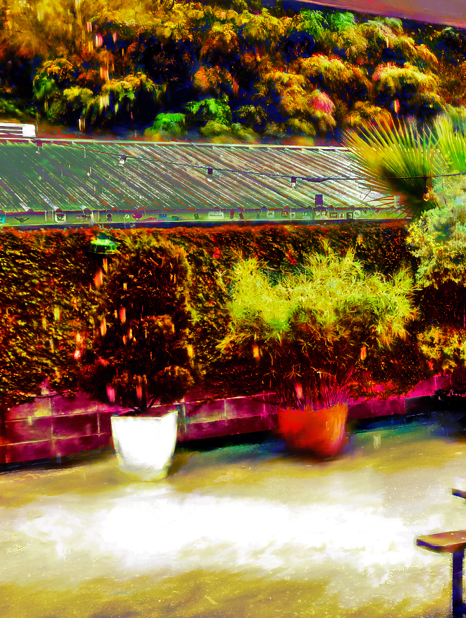 screen shot    at    pm