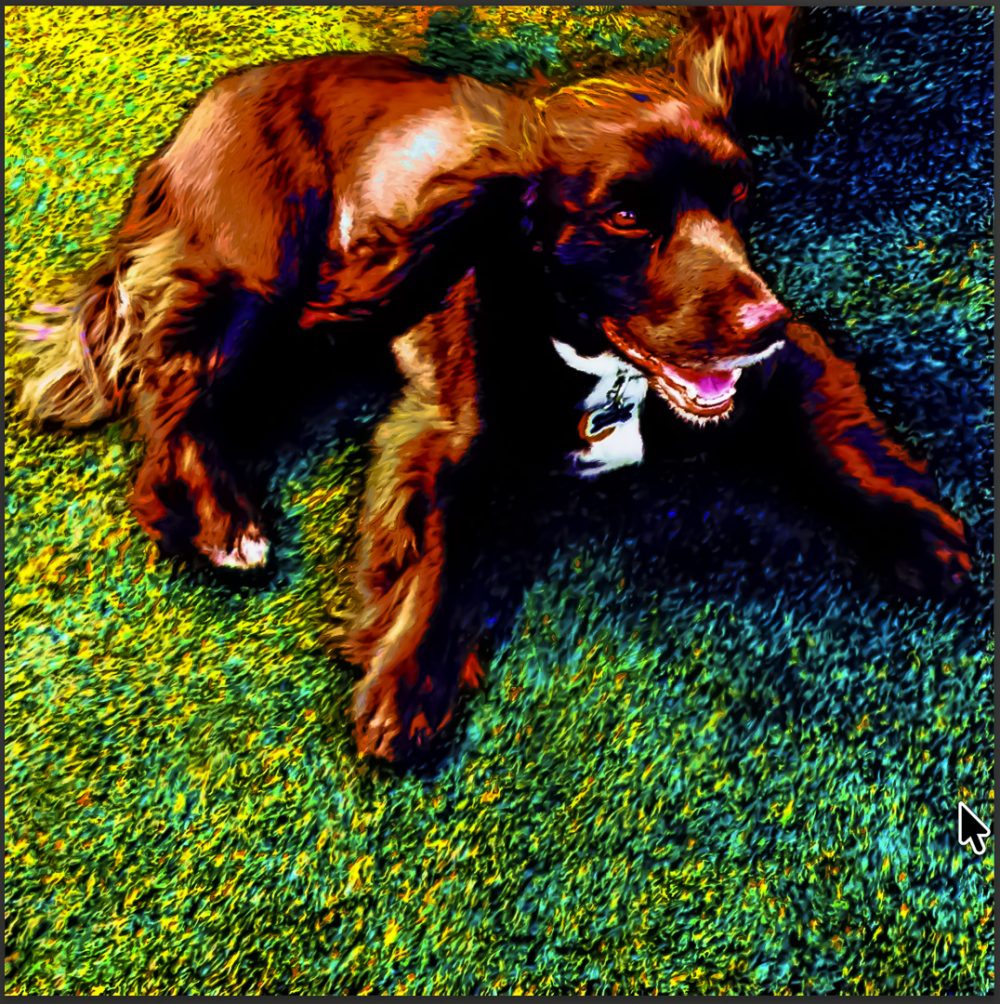 mr brown image