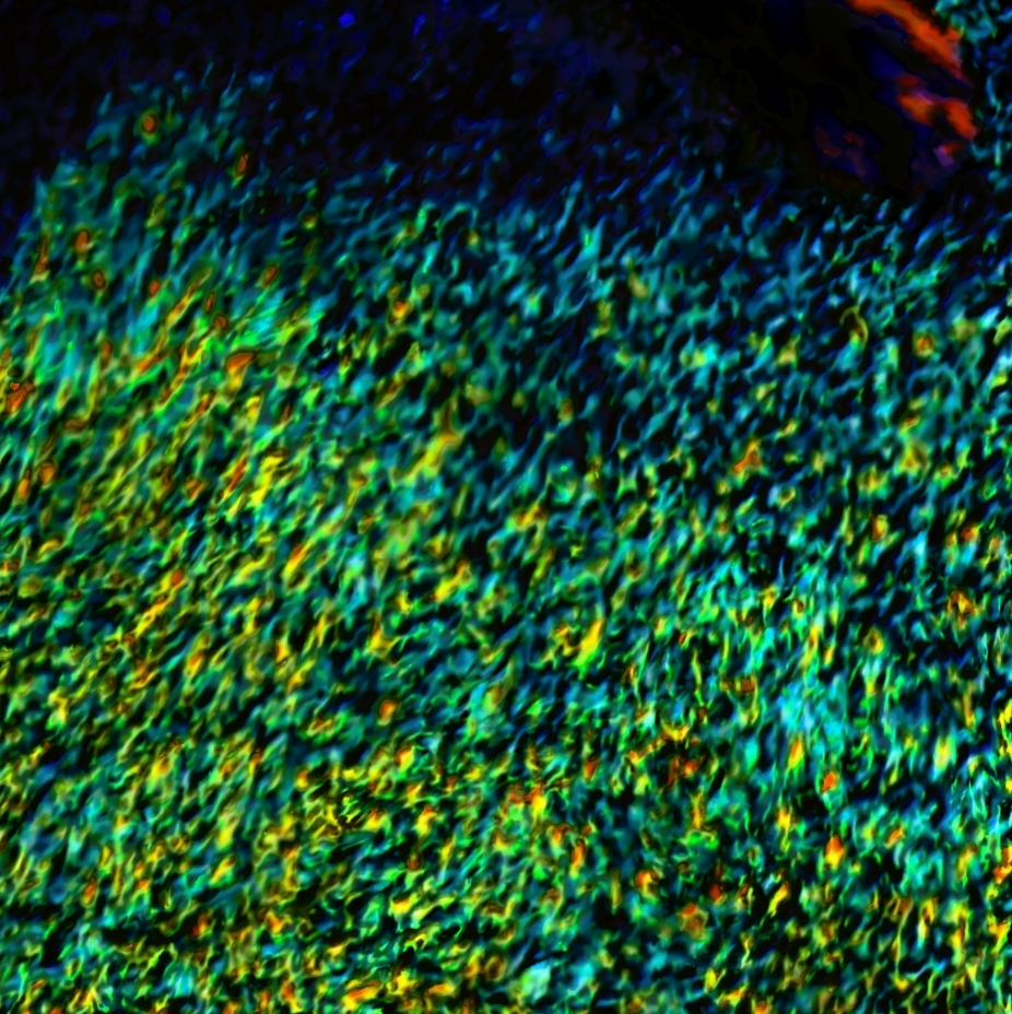 screen shot    at    am