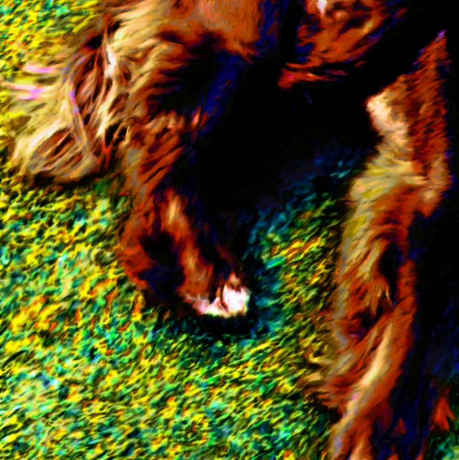 screen shot    at    am