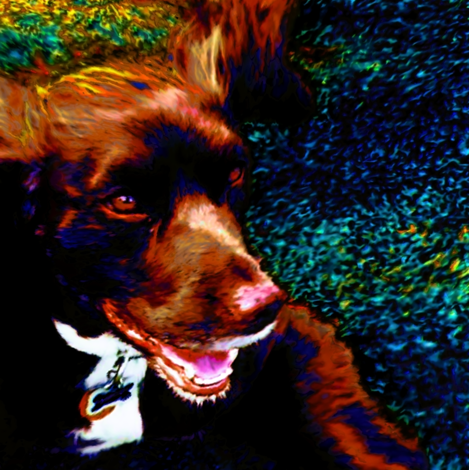 screen shot    at    am