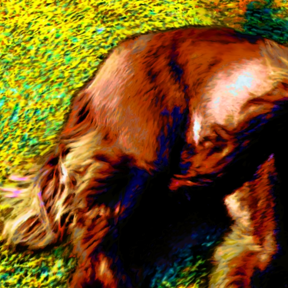 screen shot    at    am