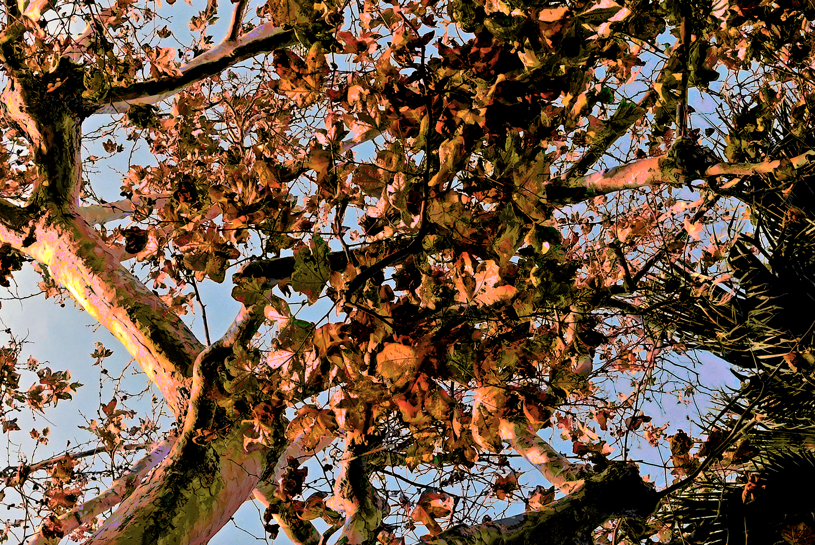 screen shot    at    am