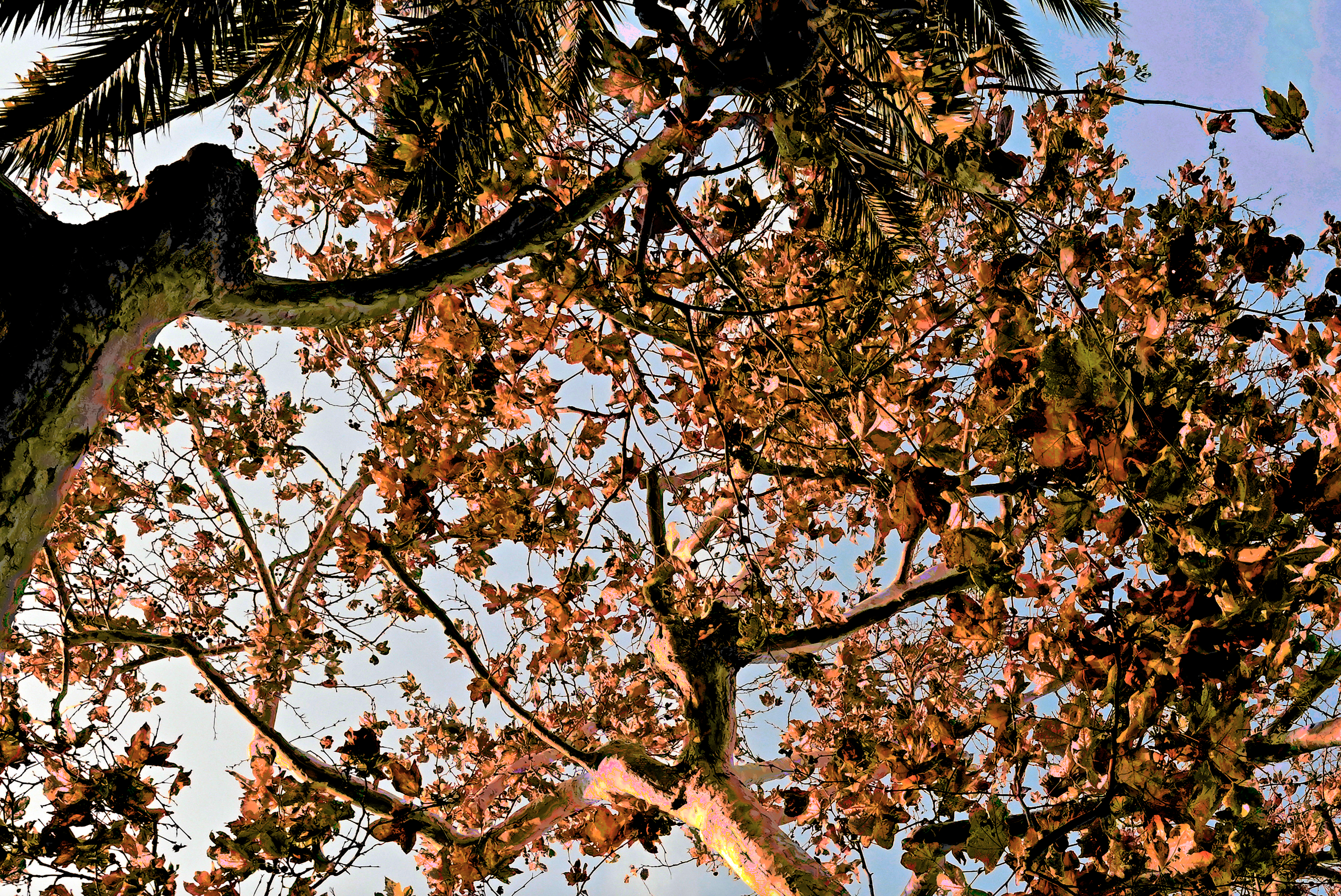 screen shot    at    am