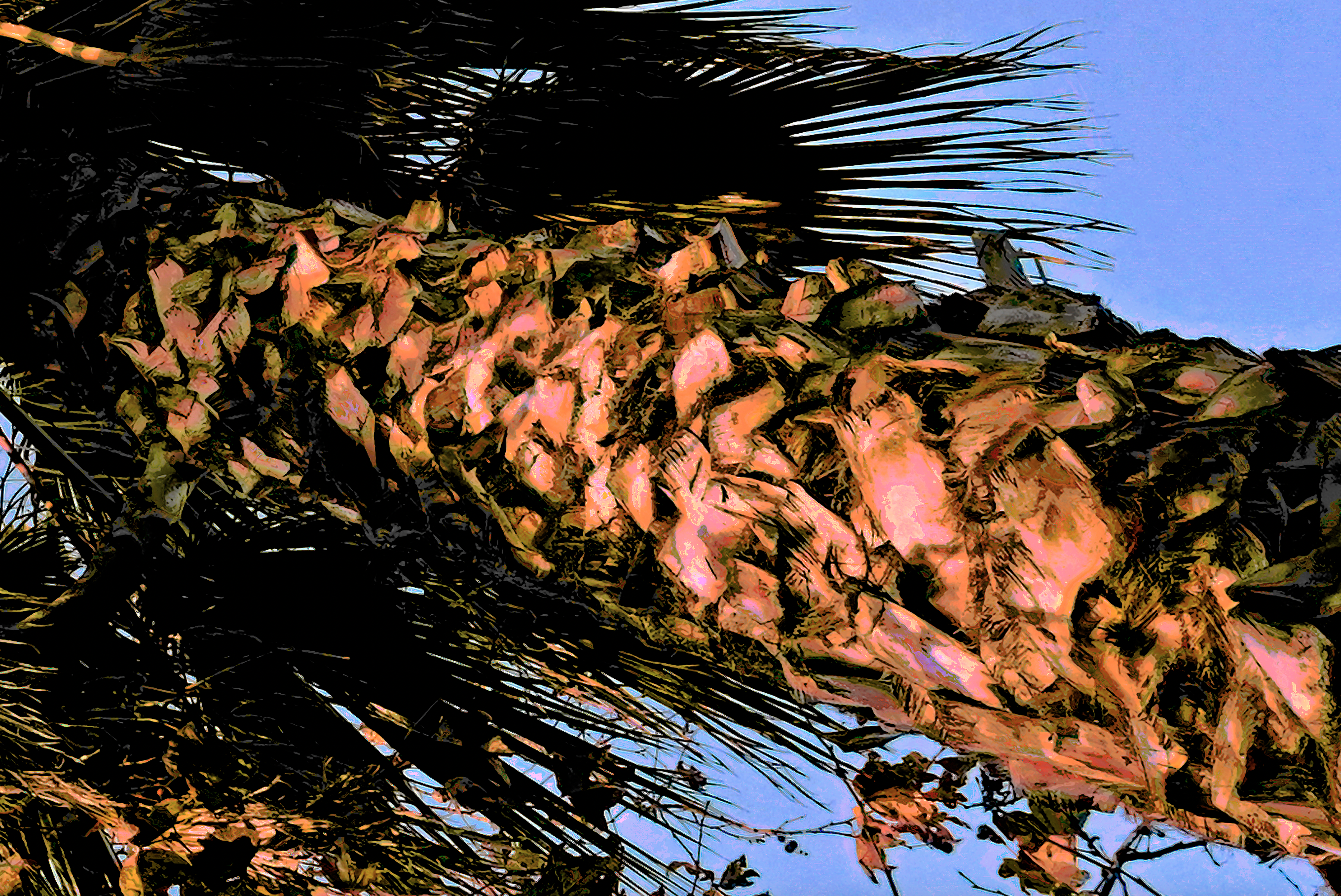 screen shot    at    am