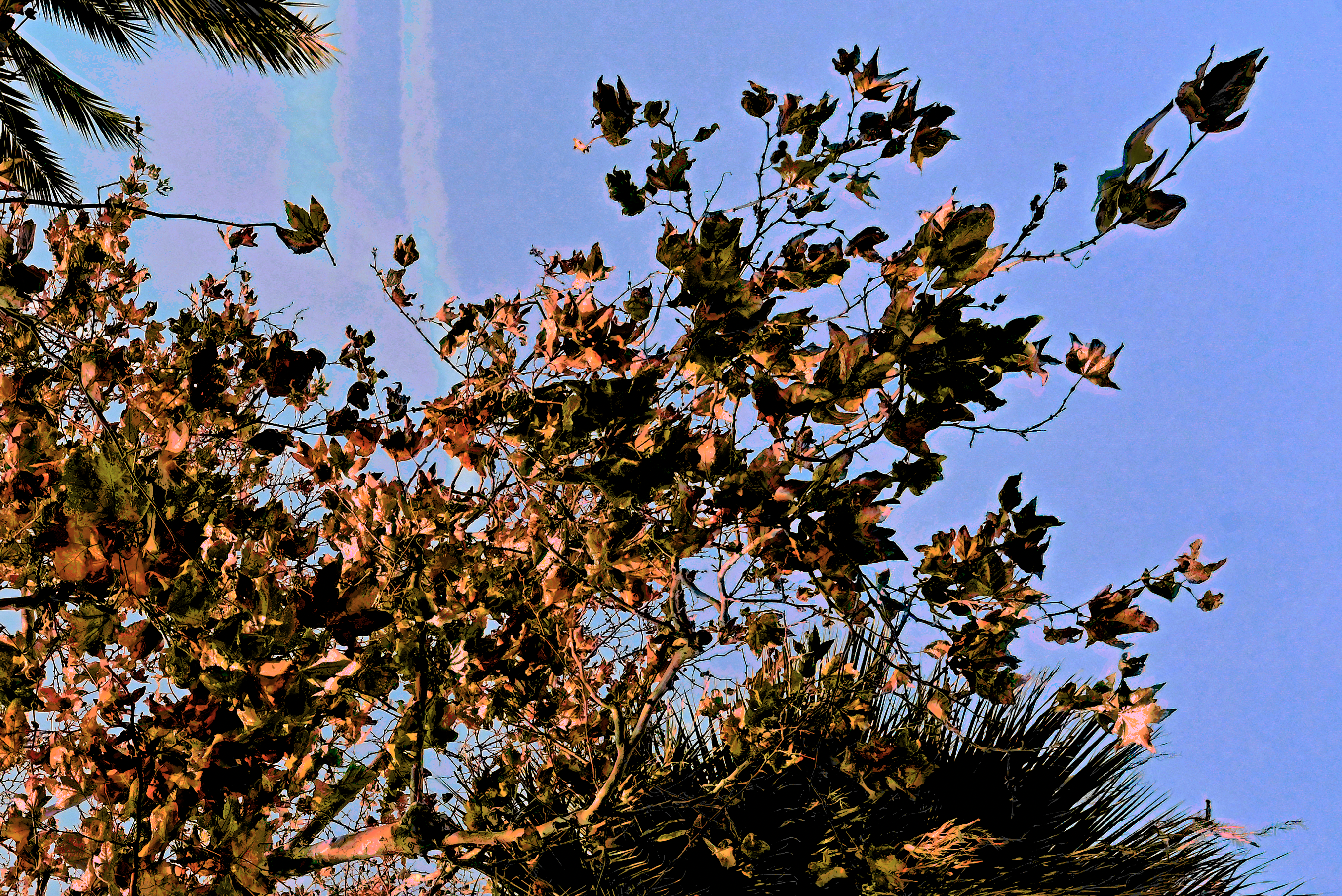 screen shot    at    am