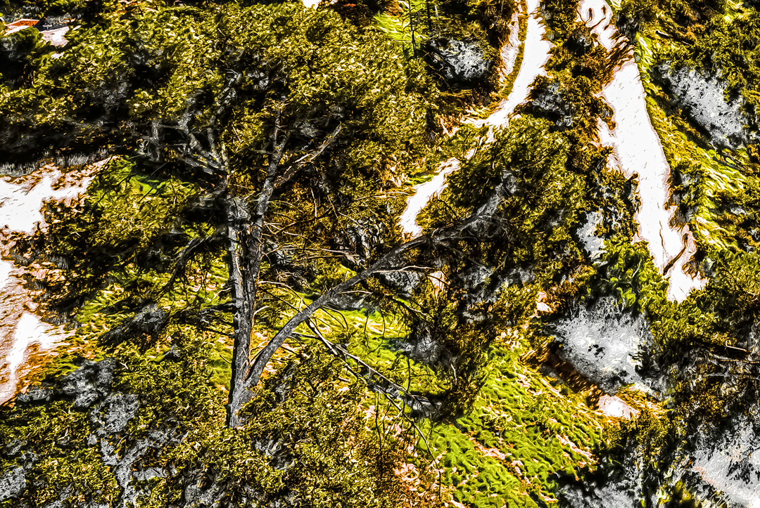 view from the griffith