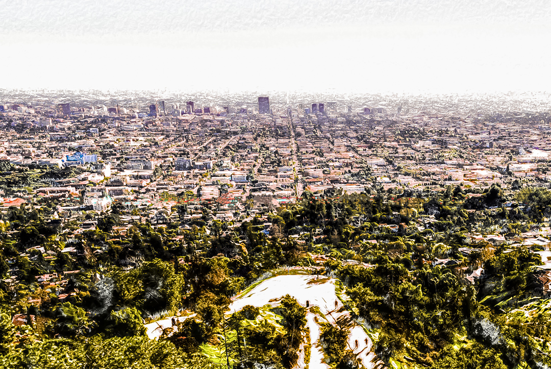 view from the griffith