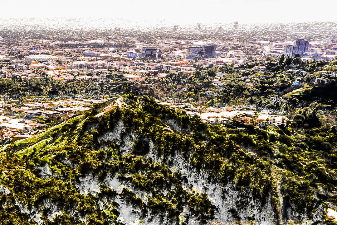 view from the griffith