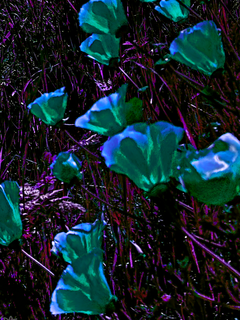 screen shot    at    pm