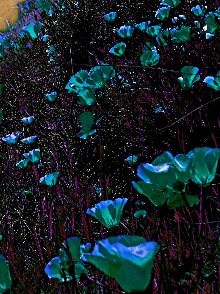 screen shot    at    pm