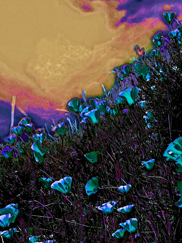 screen shot    at    pm