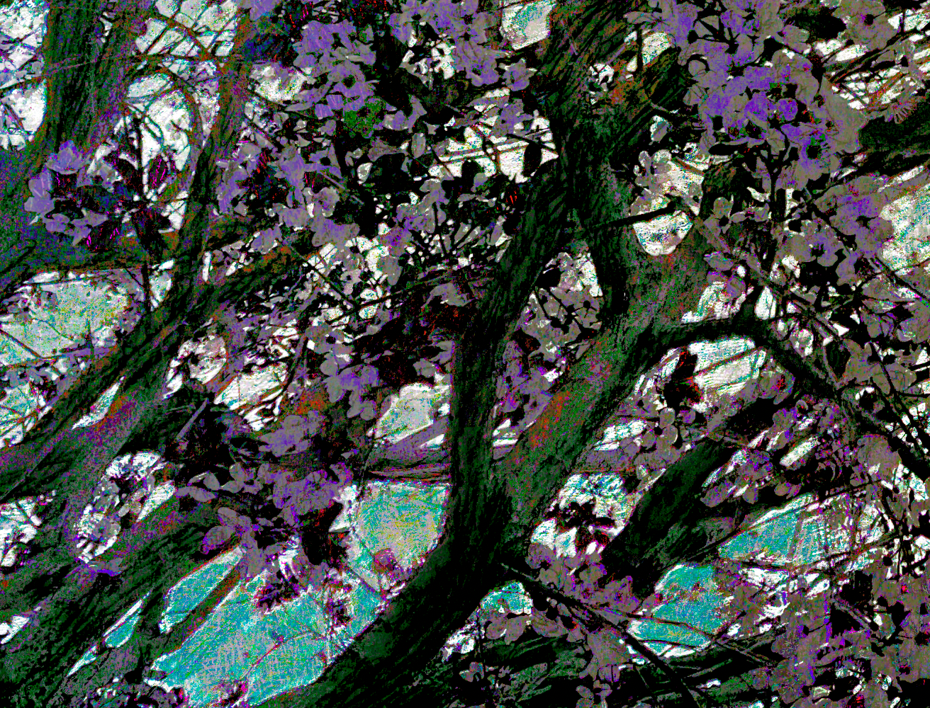 screen shot    at    pm