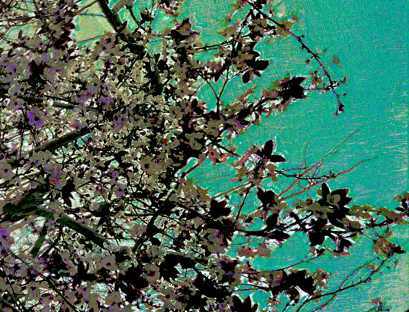 screen shot    at    pm