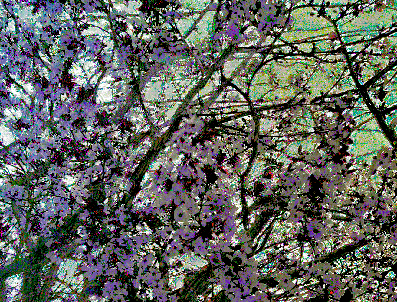 screen shot    at    pm