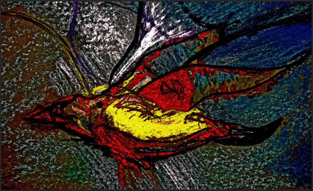 bird in flight image