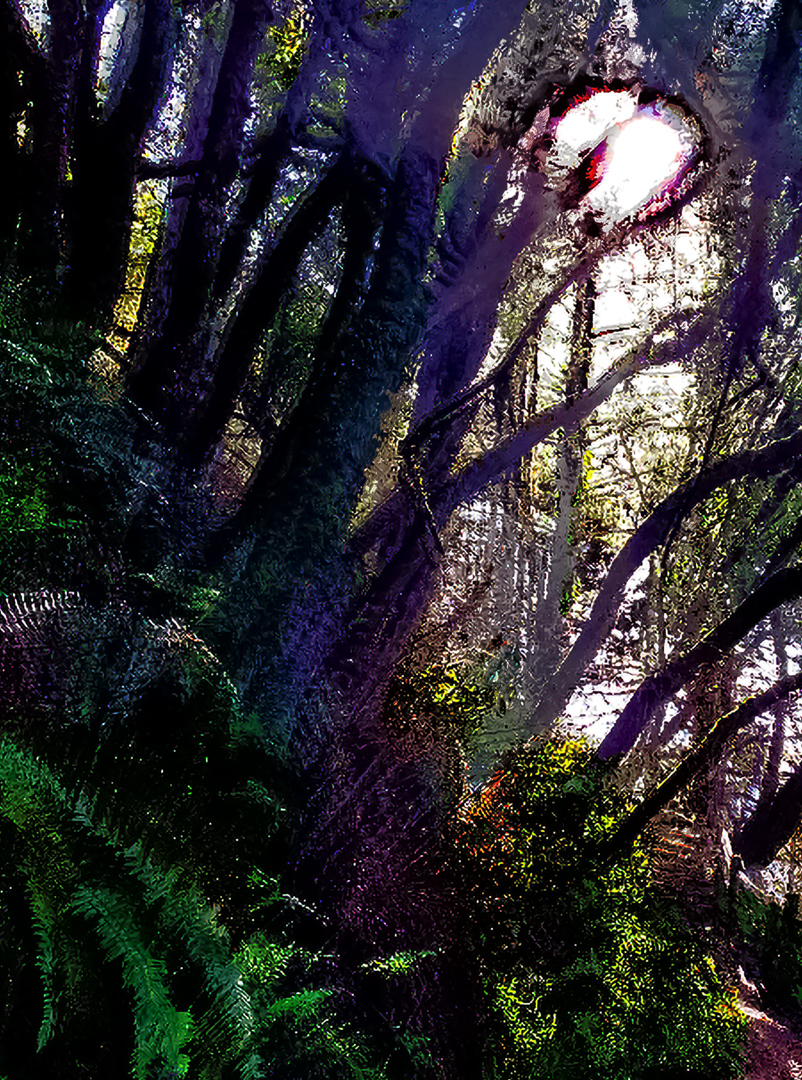 mountain grove mount tamalpais