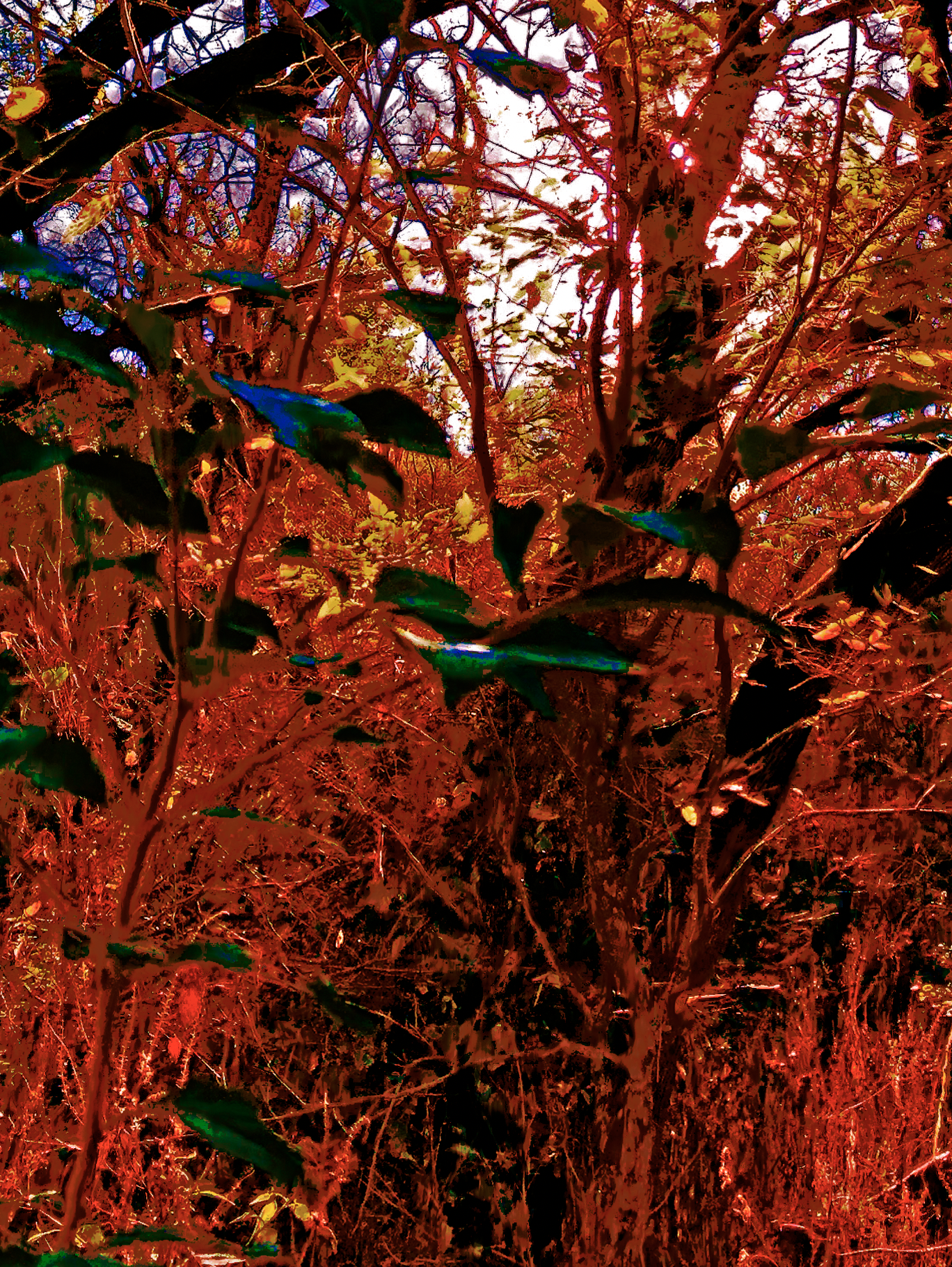 screen shot    at    am