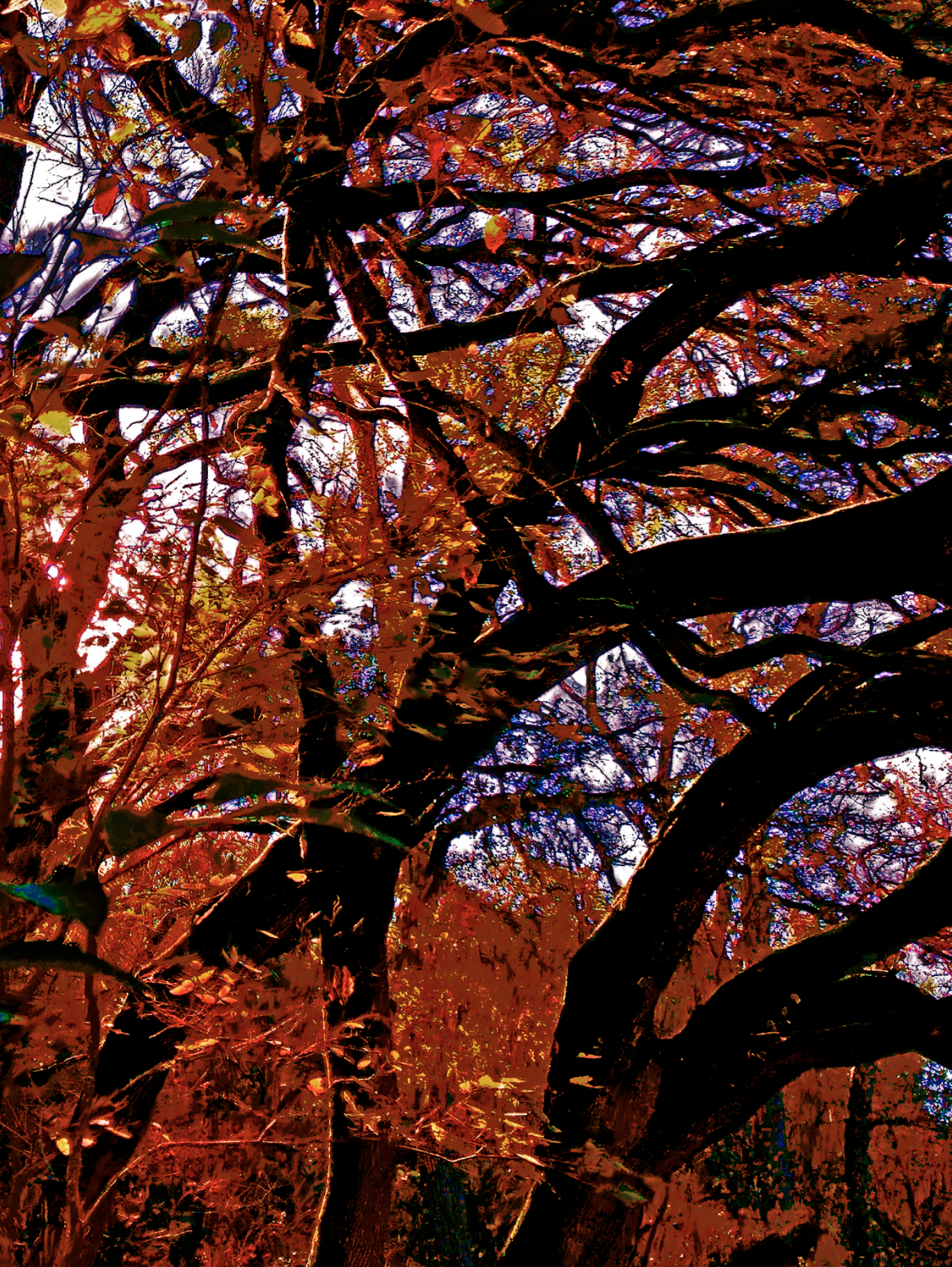 screen shot    at    am