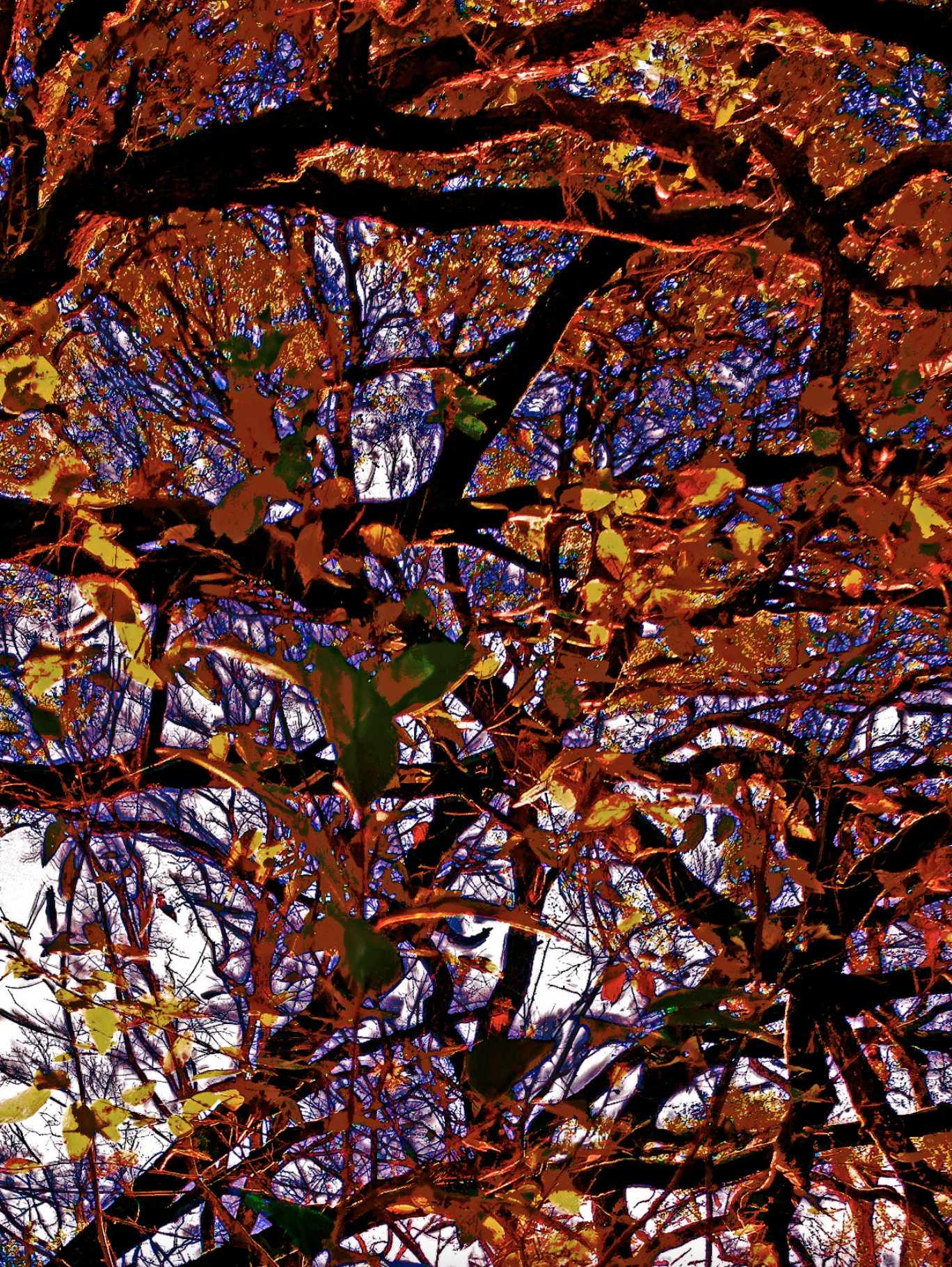 screen shot    at    am