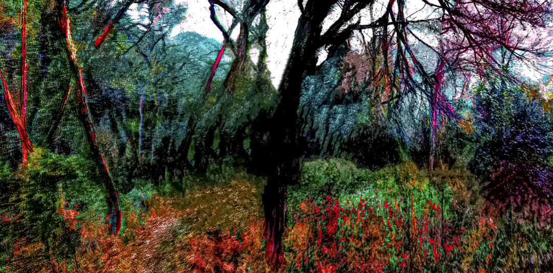 an opening in the trail