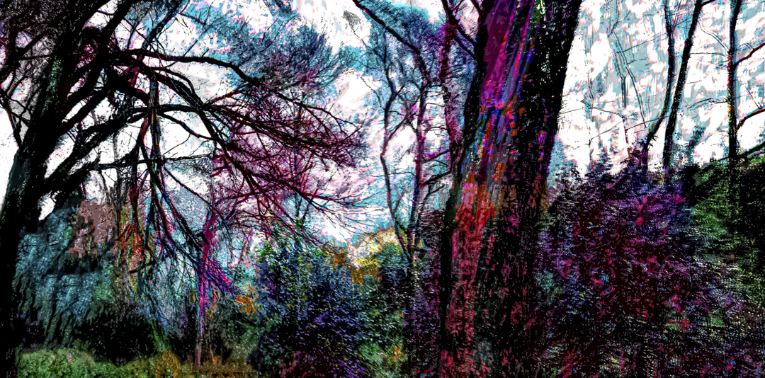 an opening in the trail