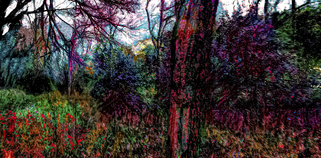 an opening in the trail