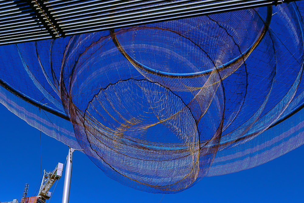 museum of the southwest