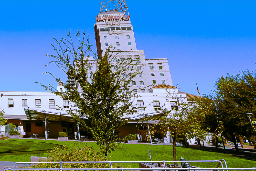 museum of the southwest