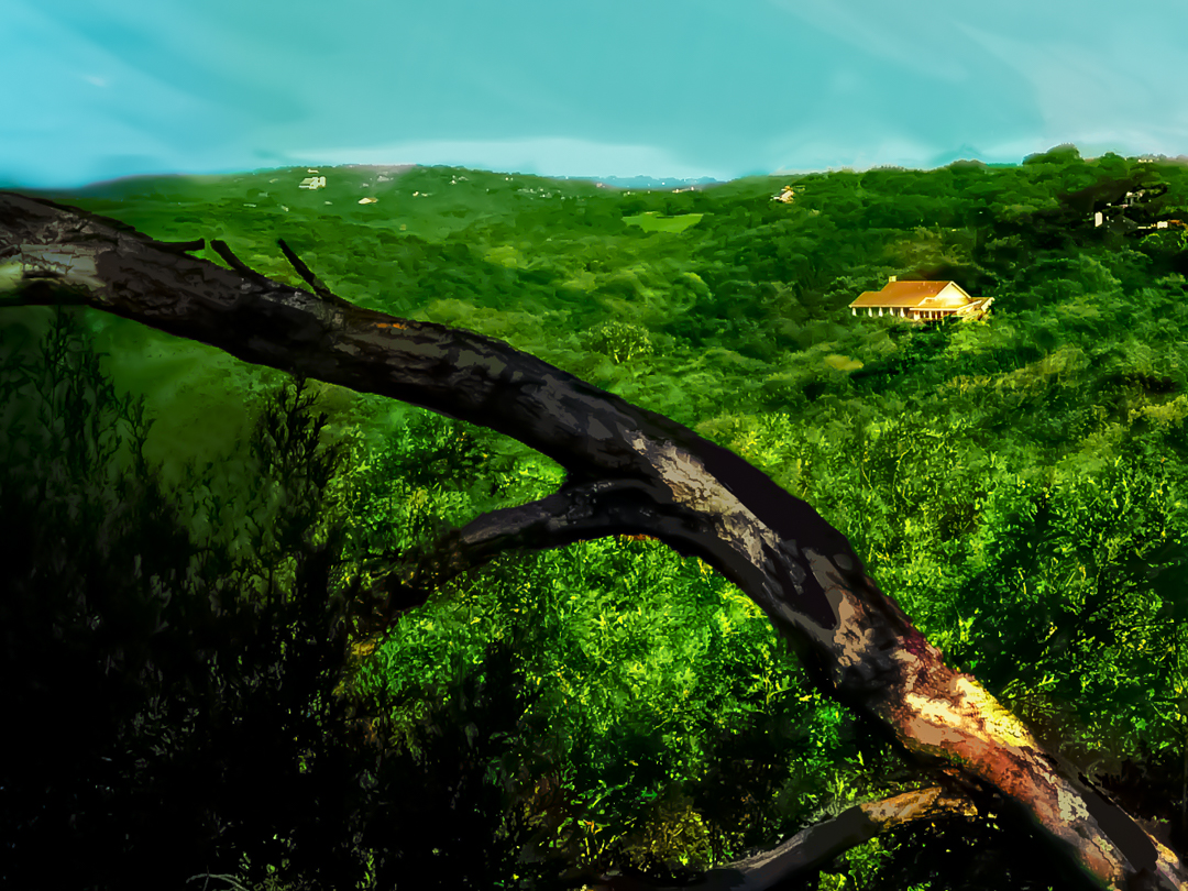 ridgeline perspective